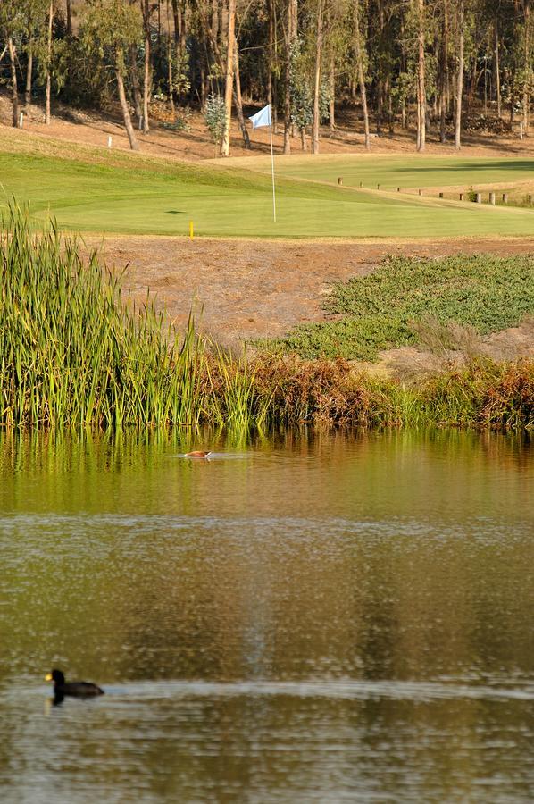 Hotel Green En Marbella ไมเตนชีโย ภายนอก รูปภาพ